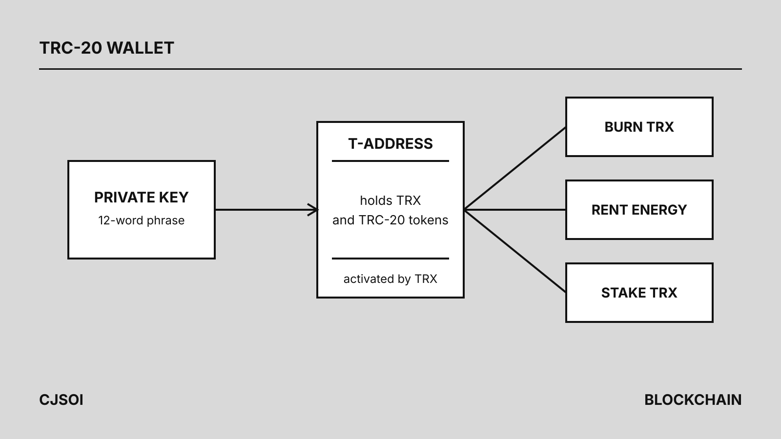 Line diagram: a private key box with a 12-word phrase points to a TRON T-address that holds TRX and TRC-20 tokens, which branches to three ways of paying USDT fees: burn TRX, rent energy or stake TRX.